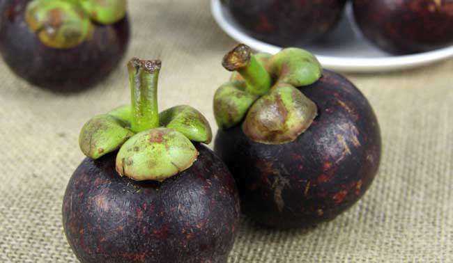 山竹是寒性水果嗎