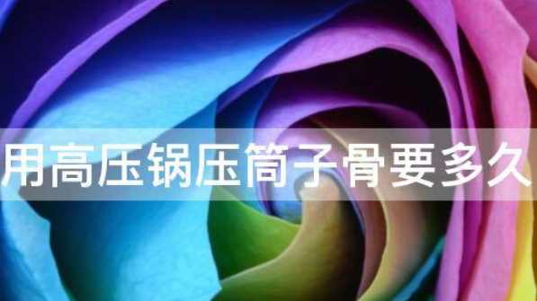 筒子骨高壓鍋壓幾分鐘,筒骨高壓鍋要壓幾分鐘?圖1