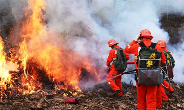 草原森林防火常識(shí),森林防火小常識(shí)10條簡(jiǎn)短圖1