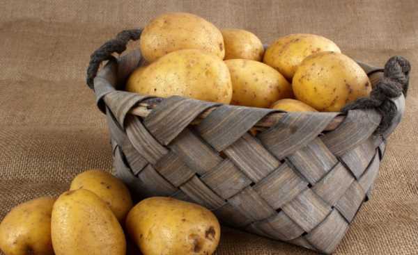 怎么保存土豆能放一年,大量土豆長期保存方法一年圖3