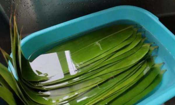 粽葉為什么要用開水煮,煮包粽子的葉子是開水下鍋還是冷水下鍋圖4