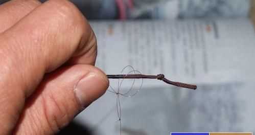 魚竿卡節(jié)嚴重怎么處理