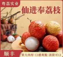 仙進(jìn)奉荔枝有什么特點(diǎn)