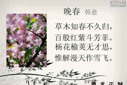 百般紅紫斗芳菲的上一句是什么古詩