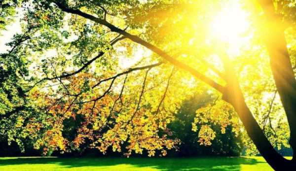 室內(nèi)有紫外線,陽(yáng)光沒(méi)有直射到室內(nèi)室內(nèi)還有紫外線輻射嗎圖1