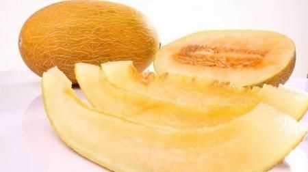 6個月寶寶能吃哈密瓜嗎