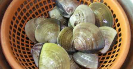 花蛤煮5分鐘能吃嗎,蛤蜊煮多久幾分鐘能熟圖3