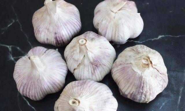 蒜可以放冰箱冷藏室保存嗎