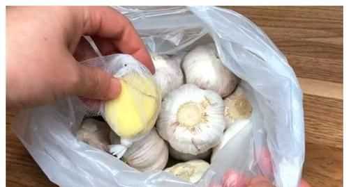 大蒜可以放冰箱冷凍保存嗎