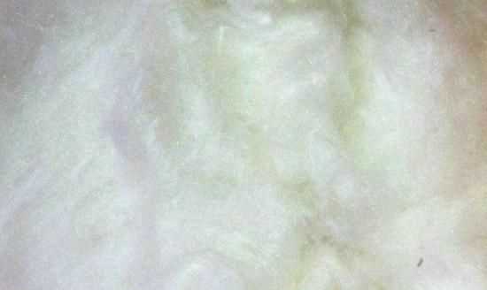 桑蠶絲的優(yōu)缺點，百分百桑蠶絲衣服的優(yōu)缺點？圖4