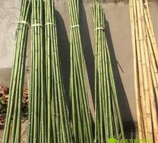 竹竿的桿是這個(gè)桿嗎