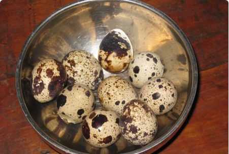 煮鵪鶉蛋多長時間,煮鵪鶉蛋需要煮幾分鐘圖2