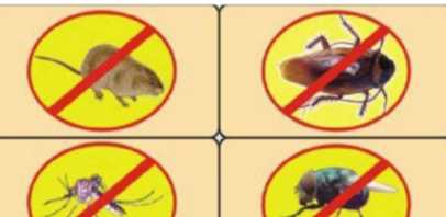 五害是哪五個,五害指的是哪五個人圖1