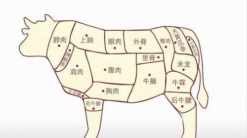 牛排的哪個部位肉最嫩最好