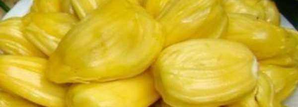 菠蘿蜜摘下來沒熟要怎樣才會熟,菠蘿蜜不熟要怎么放才能熟透圖2