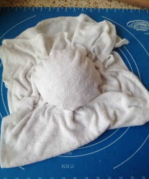 餃子皮怎么和面,餃子皮的面怎么做圖8