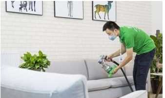 怎么去除房間異味保持空氣清新,室內(nèi)有異味如何去除圖8