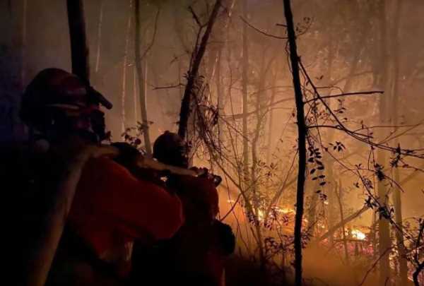 山火的危害及措施,深圳南山 山火圖3