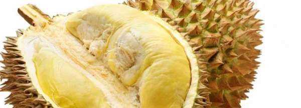 榴蓮熟了會(huì)自己裂開,榴蓮熟了都會(huì)自己裂開嗎圖2