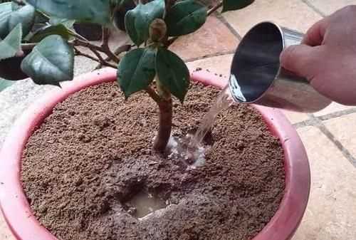 見(jiàn)干見(jiàn)濕和間干間濕有什么區(qū)別