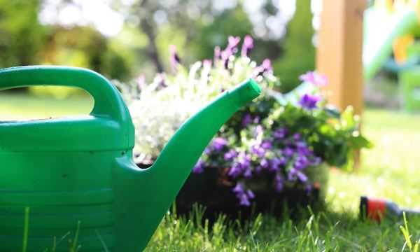 怎么判斷見(jiàn)干見(jiàn)濕,見(jiàn)干見(jiàn)濕和間干間濕有什么區(qū)別圖2