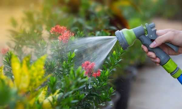 怎么判斷見(jiàn)干見(jiàn)濕,見(jiàn)干見(jiàn)濕和間干間濕有什么區(qū)別圖3