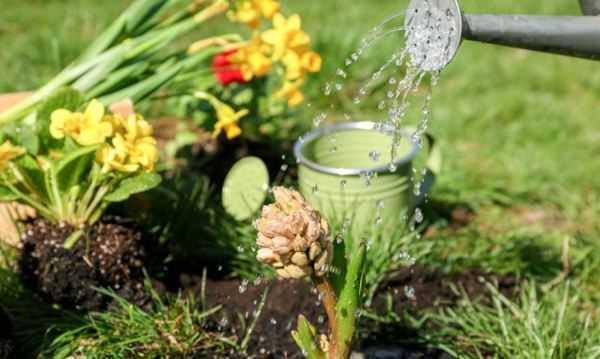 怎么判斷見(jiàn)干見(jiàn)濕,見(jiàn)干見(jiàn)濕和間干間濕有什么區(qū)別圖4