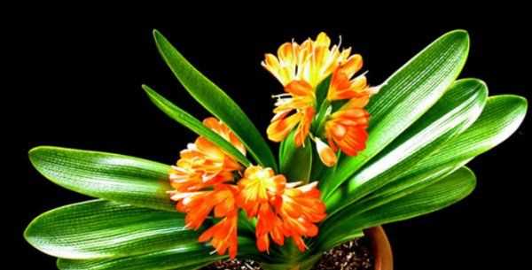 怎么判斷見(jiàn)干見(jiàn)濕,見(jiàn)干見(jiàn)濕和間干間濕有什么區(qū)別圖9