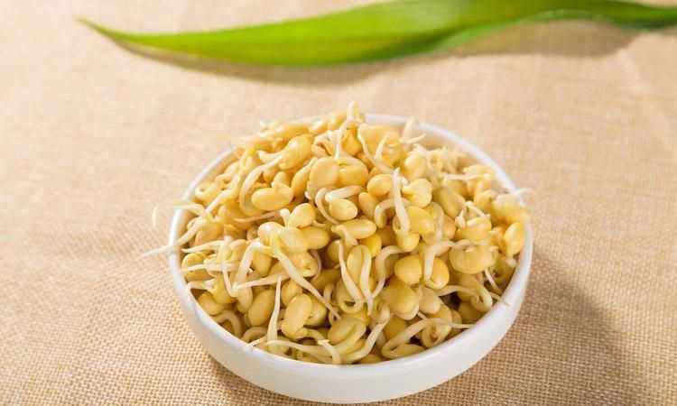 豆芽放冰箱三四天后還能吃嗎