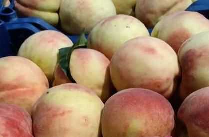 桃子能放在冰箱保鮮嗎