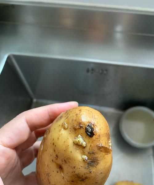 土豆發(fā)芽了怎么辦