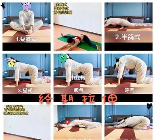 女性經(jīng)期做拉伸運動能有效緩解痛經(jīng)嗎