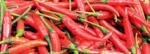 泡紅辣椒怎么泡才不會(huì)軟,泡辣椒怎么做才不會(huì)泡爛圖1