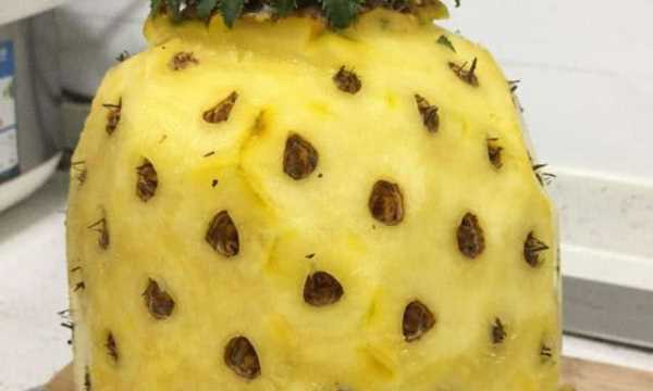 手撕菠蘿要泡鹽水,波蘿與鳳梨有什處別稱圖5