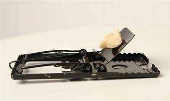 怎樣防止老鼠,怎樣防老鼠圖6