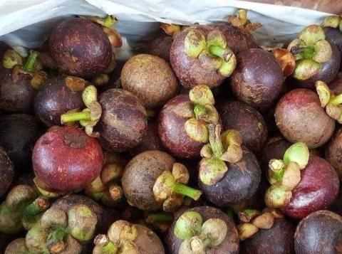 深紫色的厚皮，里面是白色透明的一瓣一瓣的果肉叫什么名字