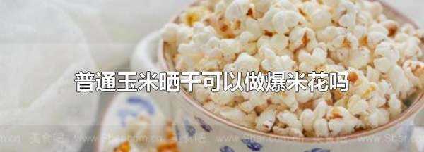 普通玉米曬干可以做爆米花,普通玉米能不能做爆米花?圖1