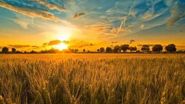 八月是秋天嗎，八月八日是秋天的第一天嗎？圖5