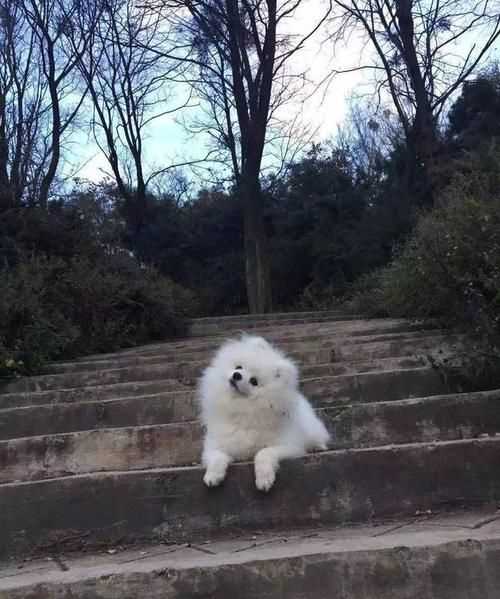 天高云淡的意思