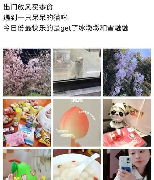 出去玩可以說成放風嗎