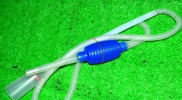 底砂里的糞便怎么清理,魚缸內(nèi)沉積在沙石內(nèi)的糞便有什么方法清理圖3