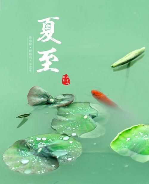 夏節(jié)又稱什么三個字