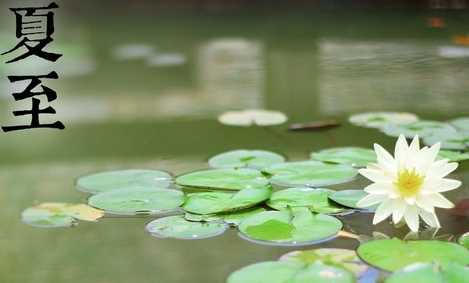 夏節(jié)又稱什么,夏節(jié)又稱什么三個字圖4