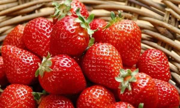 草莓紅了后多久才能吃,草莓變紅了之后有一點(diǎn)點(diǎn)發(fā)黃是什么事情圖2