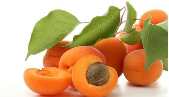 黃桃和杏子有什么區(qū)別