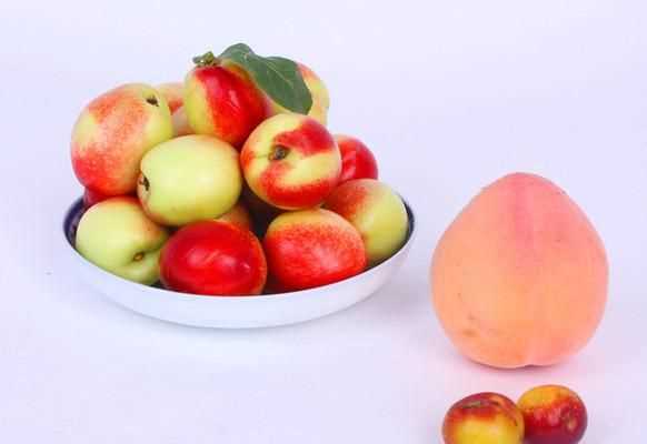 桃與杏的區(qū)別圖解