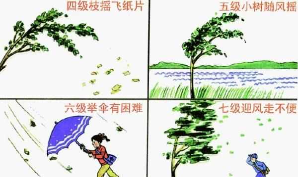 五級(jí)風(fēng)有多大,五級(jí)風(fēng)是什么程度視頻圖4