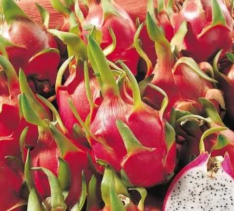 普通火龍果和紅心火龍果有什么區(qū)別