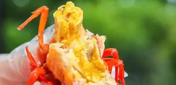 蝦黃和屎的區(qū)別,蝦頭部分是黃還是屎圖6