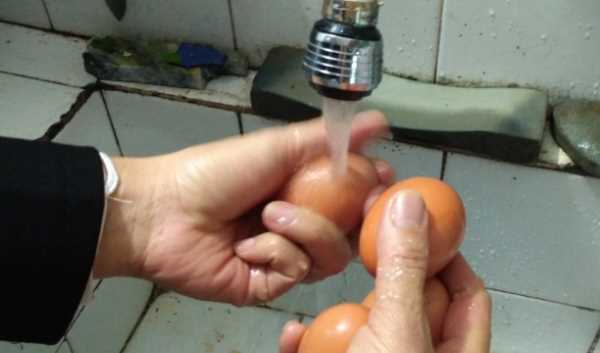 單獨雞蛋可以做什么,只用雞蛋能做什么菜?圖5